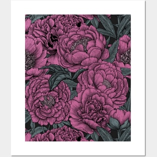 Peony flowers Posters and Art